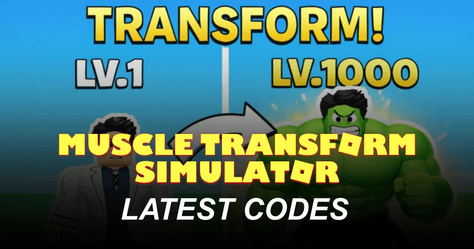 Muscle Transform Simulator Codes